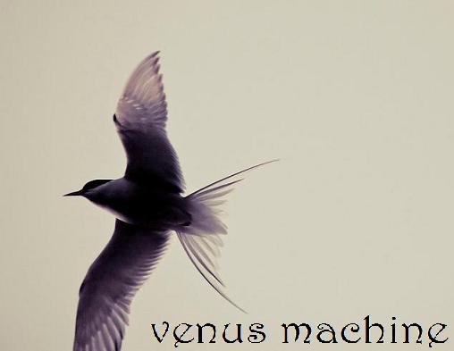 venus-machine