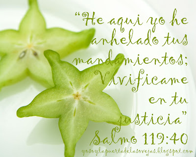 Salmo 119