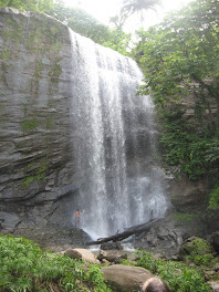 La cascade de 25 metres Mount Carmel...