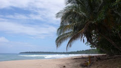 punta uva beach