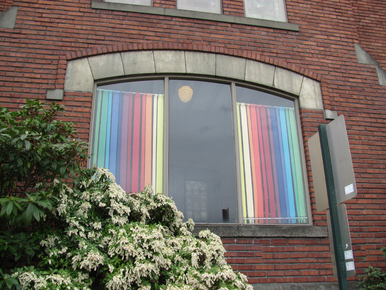 Editorials from Theslowlane 04/01/2010 05/01/2010