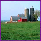 Interior Plains Pictures