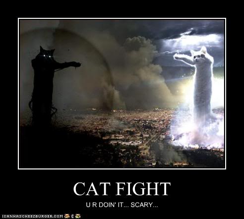 Scary Halloween Cats