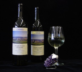 Nevada Wine