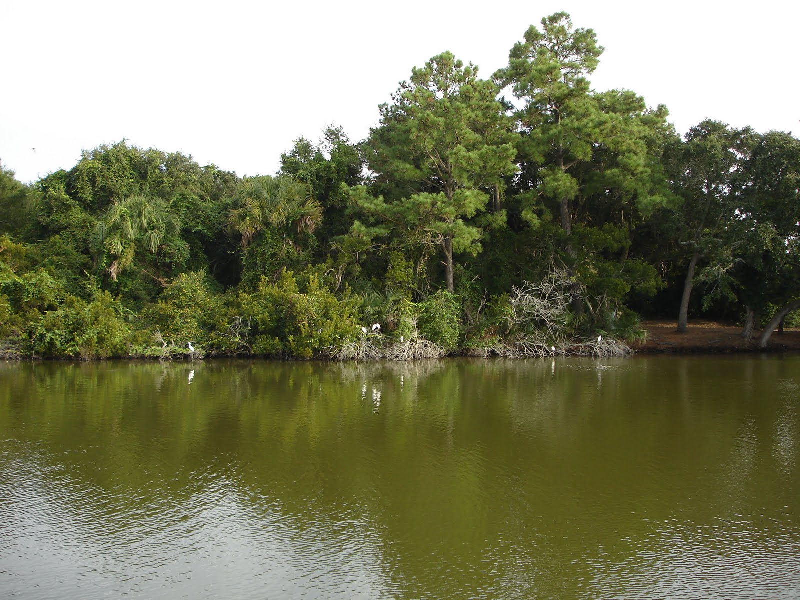 [DSC01002.JPG]