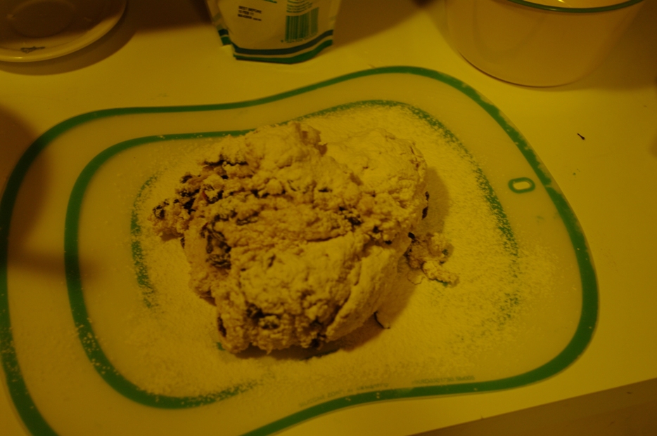 [IMGP9633_small.JPG]