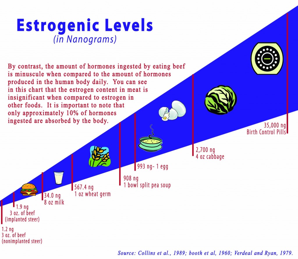 aurelian ball april 2010 estrogen in food chart