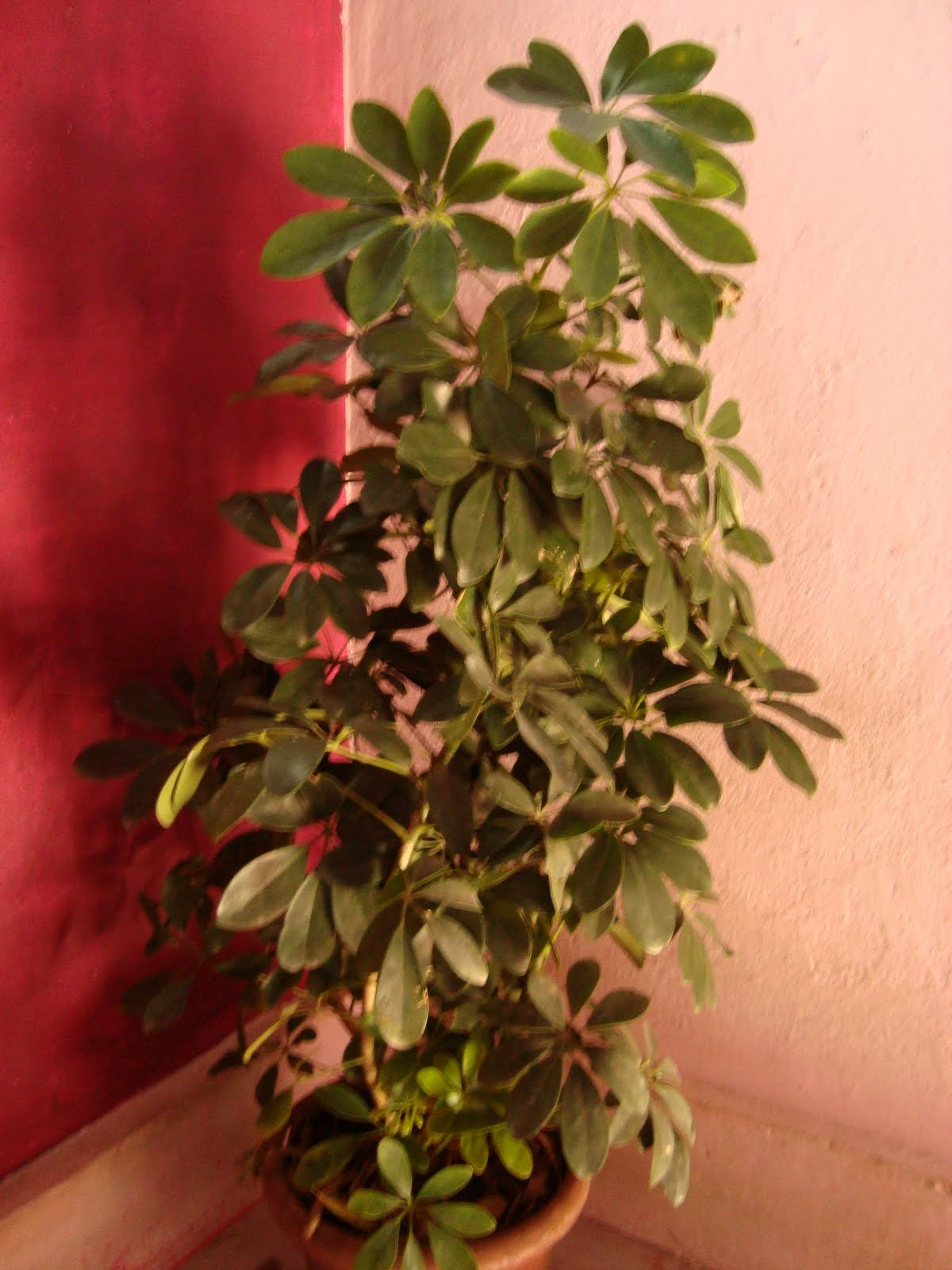 [DSC02887.JPG]