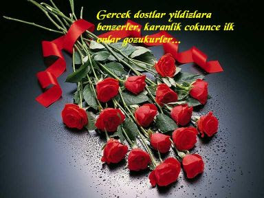 ARTAN PİLAVDAN BÖREK ve DOSTLUK BİLDİRİMİ