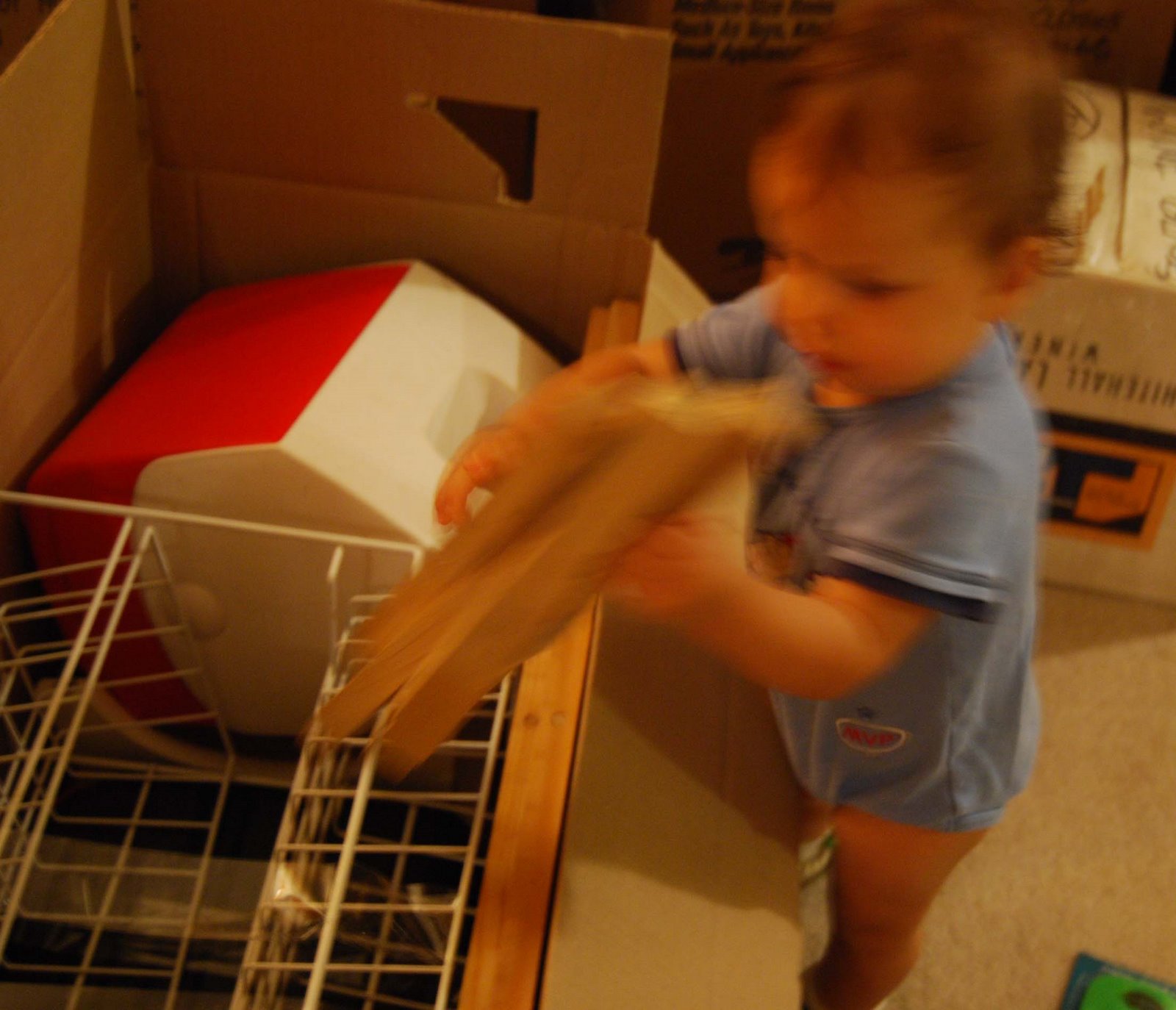 [DSC_0164.JPG]