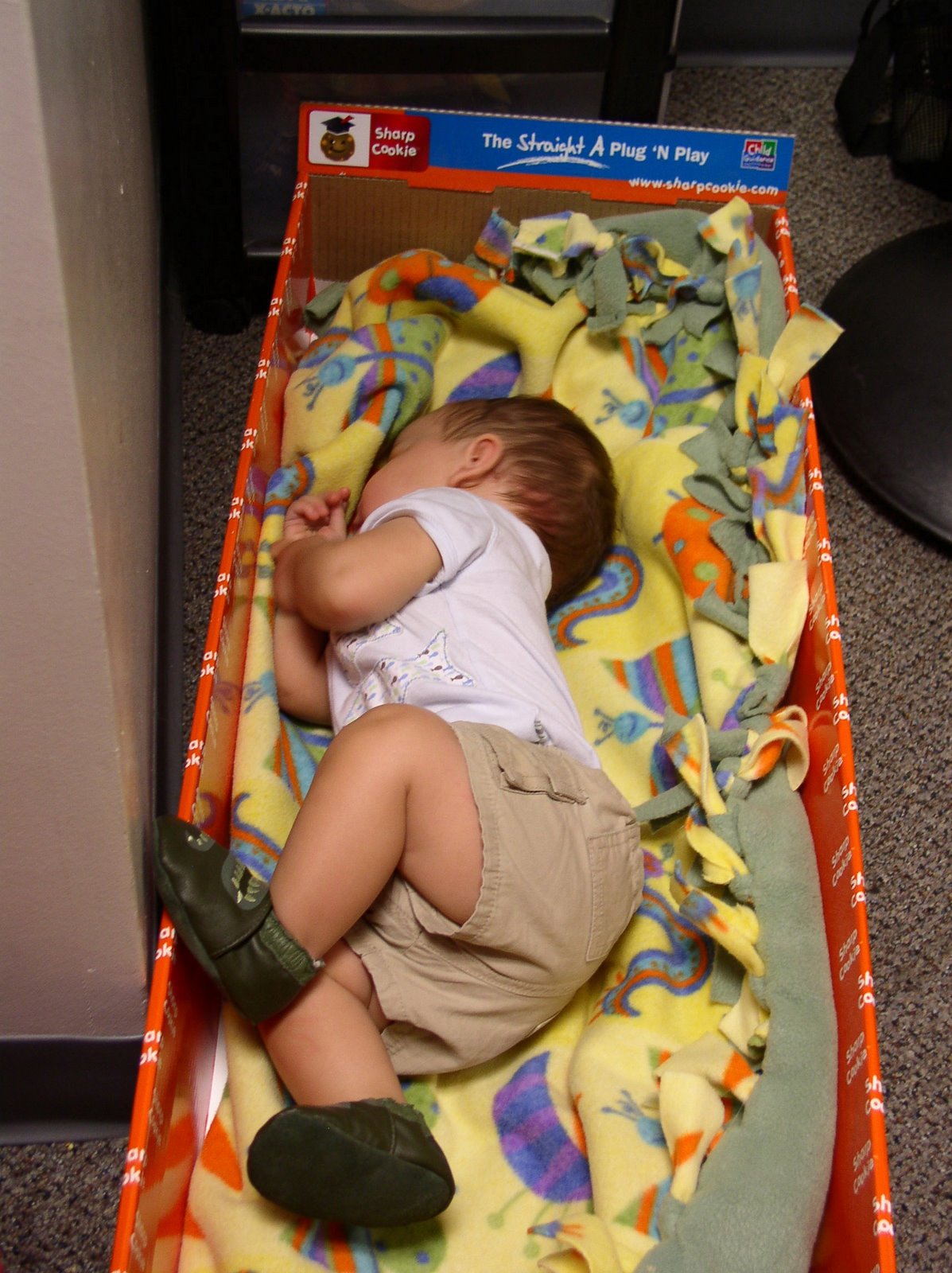 [P7220083.JPG]