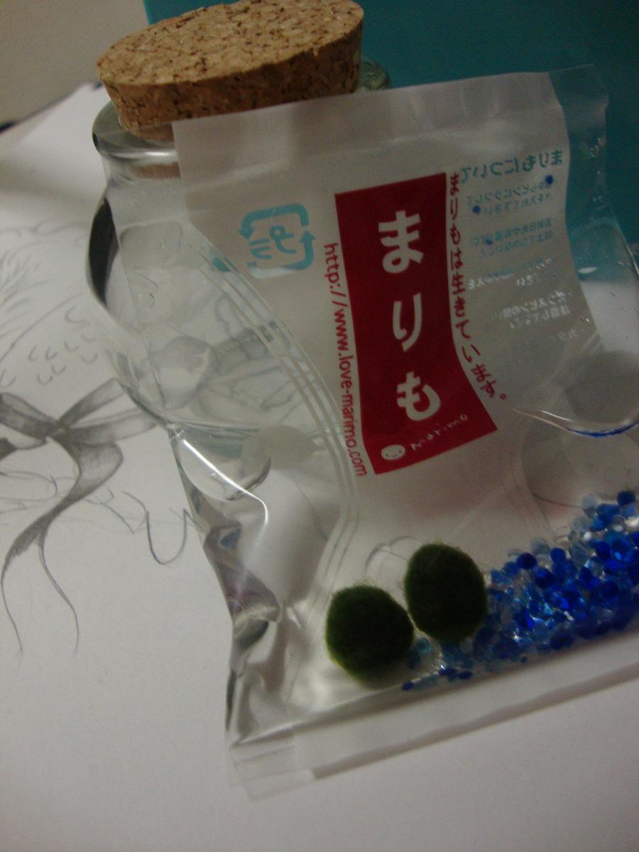 [DSC00549.JPG]