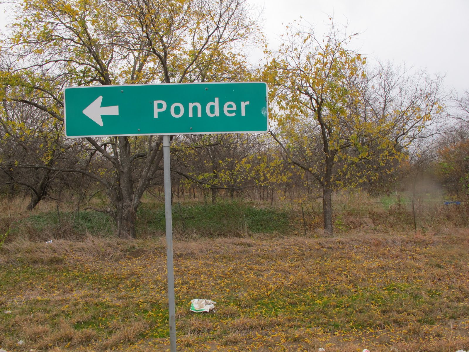 Ponder, TX apples & cheese