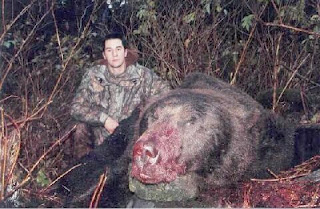 world record grizzly