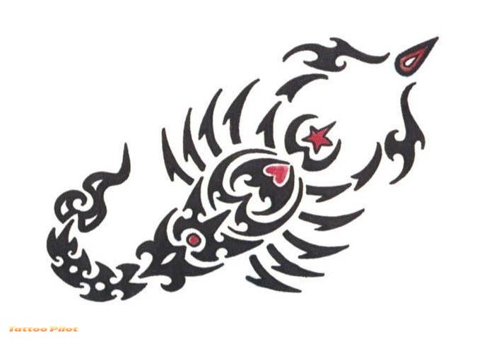 Scorpion Tribal Tattoos Hot New Scorpion Tattoo Design Video