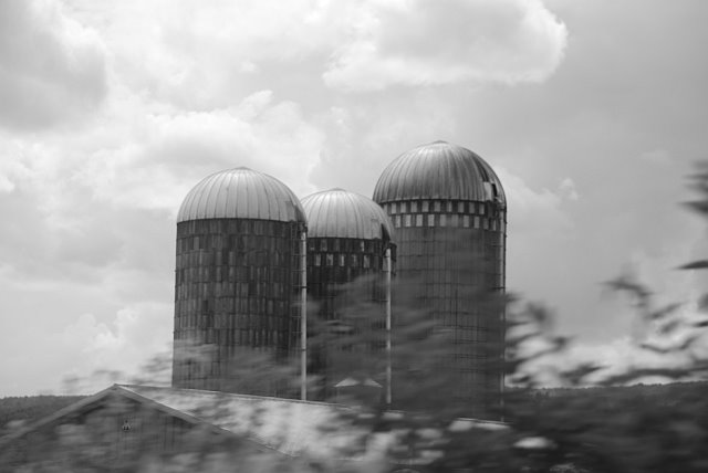 [DSC_0135.bmp]