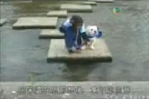 DUNIA UNIK UNIK: Video Lucu Dan Mengharukan, Kera Membantu Anjing