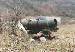 chat fontenay aux roses
