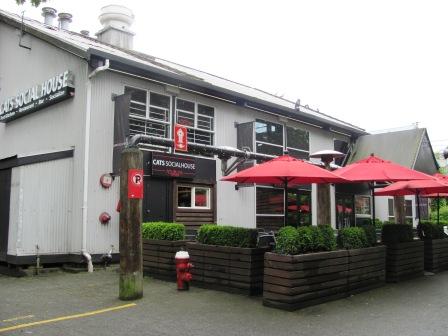 Cats Social House