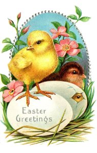 [Easter+Chick+Symbol.jpg]