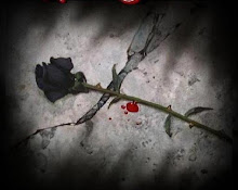 Me encantan las Rosas Negras
