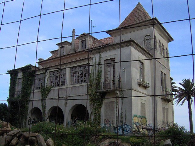 [csc1+113.jpg]