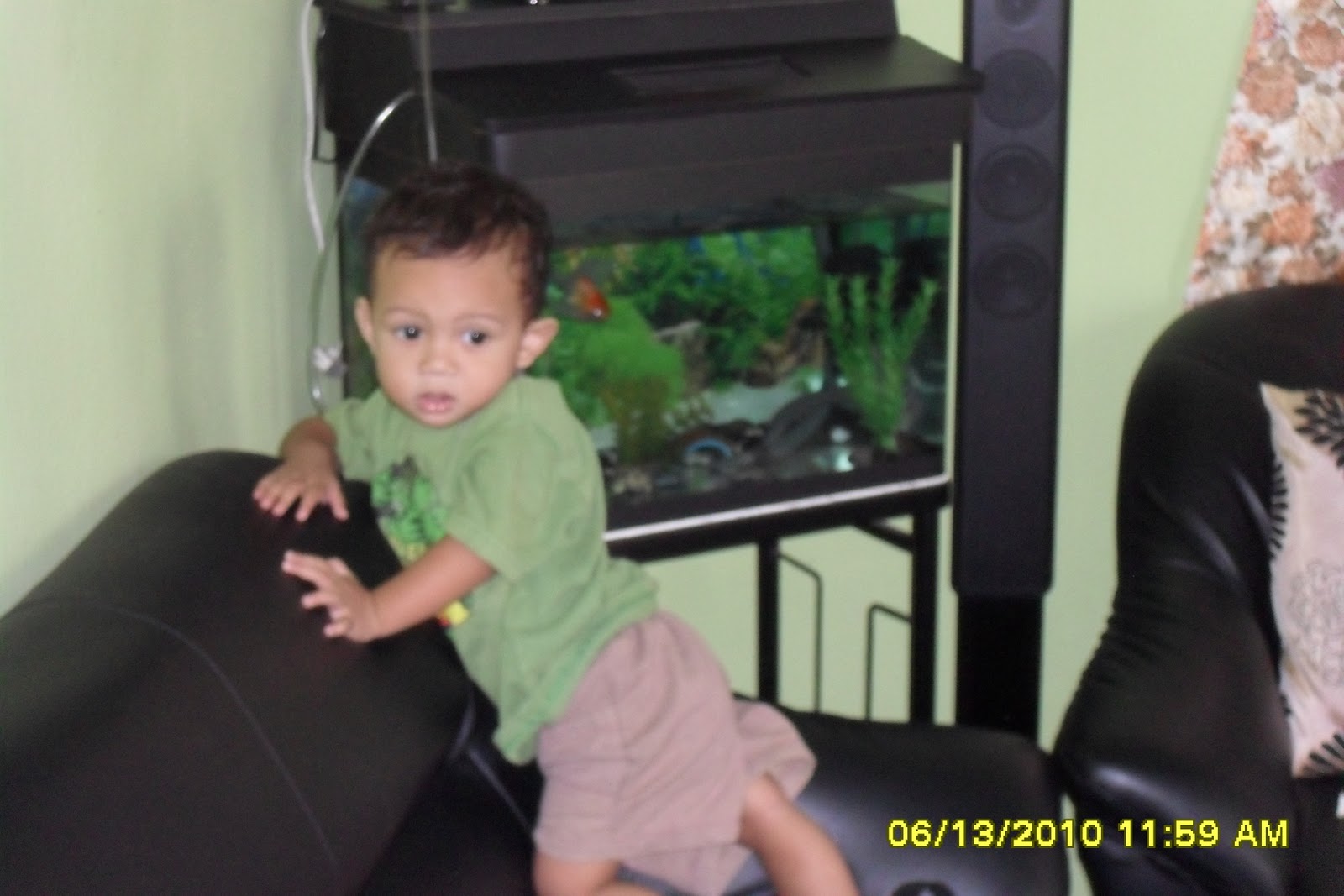 Ikan Gonjeng