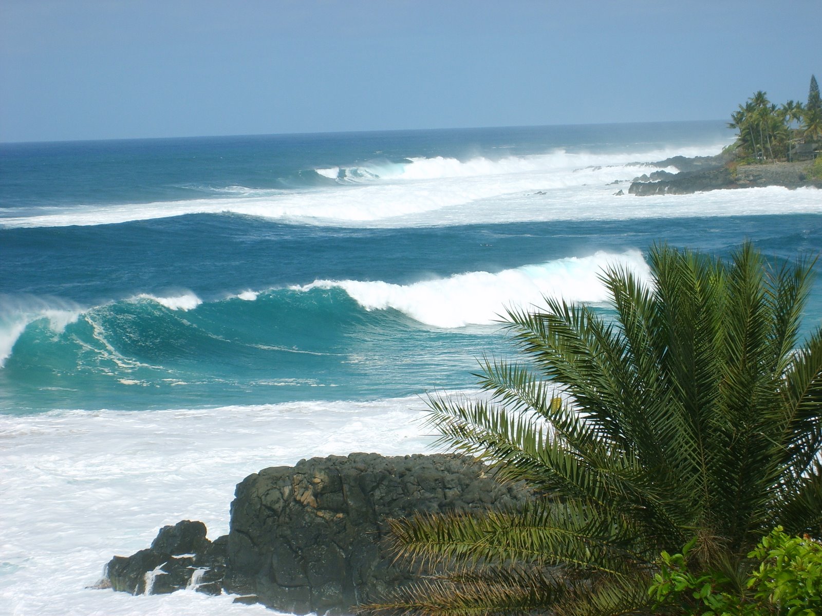 [Waimea3.JPG]
