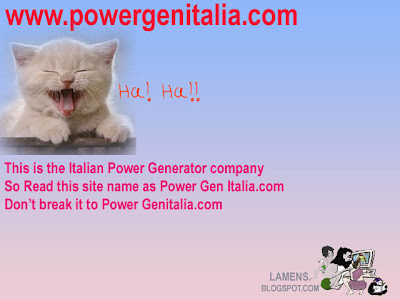 Mispronounced urls,silly domain names having double meaning,www.powergenetalia.com