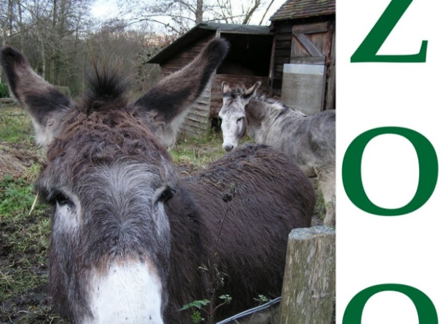 wombnet: Zoo-The Animal Hop Remixes