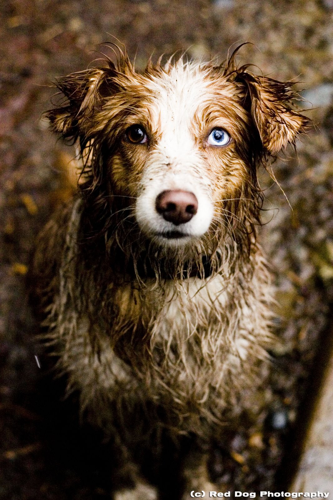 [Wet+Woo+1+copy.jpg]