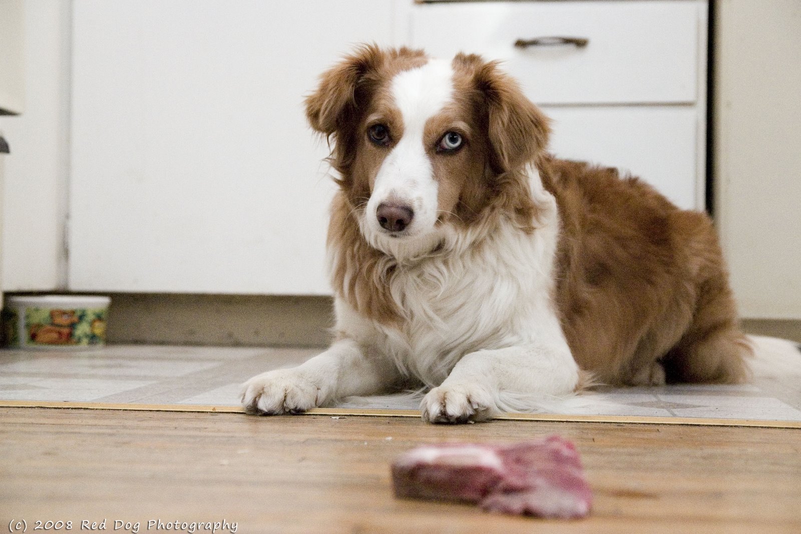 [Woo+meat+copy.jpg]