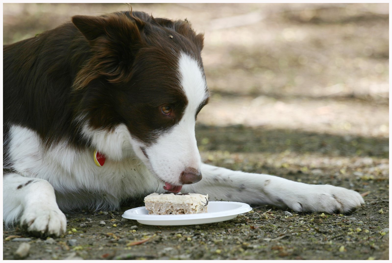 [larscake.jpg]
