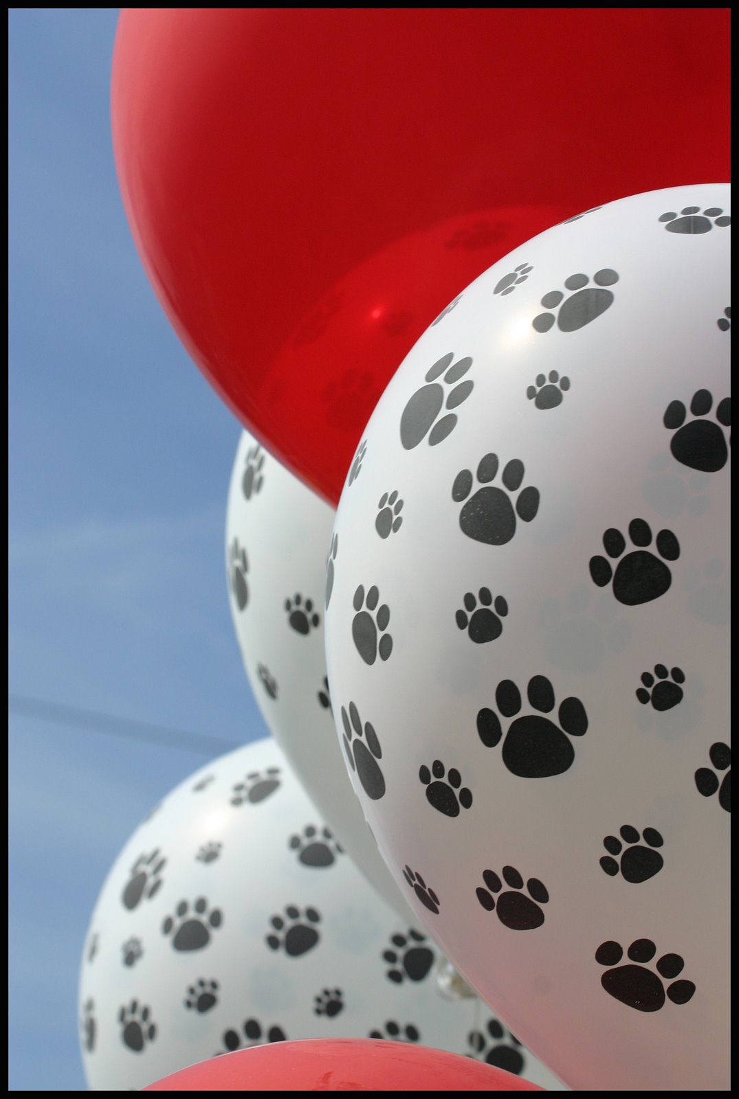 [balloons.jpg]