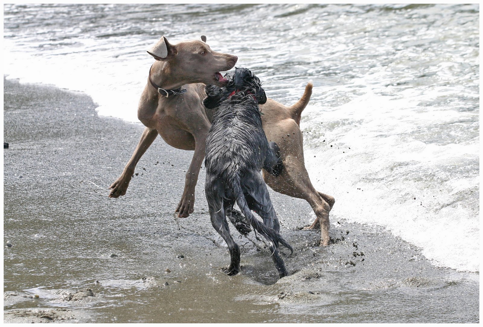 [weim2.jpg]