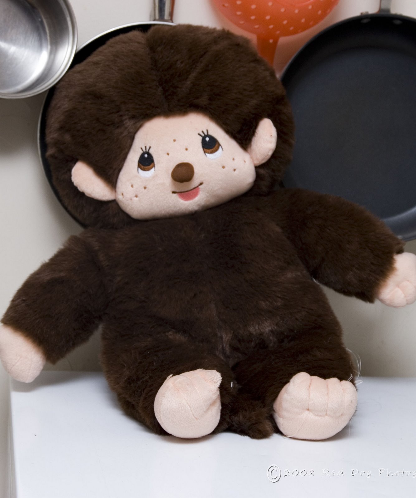 [monkey+on+dreezer-watermarked.jpg]