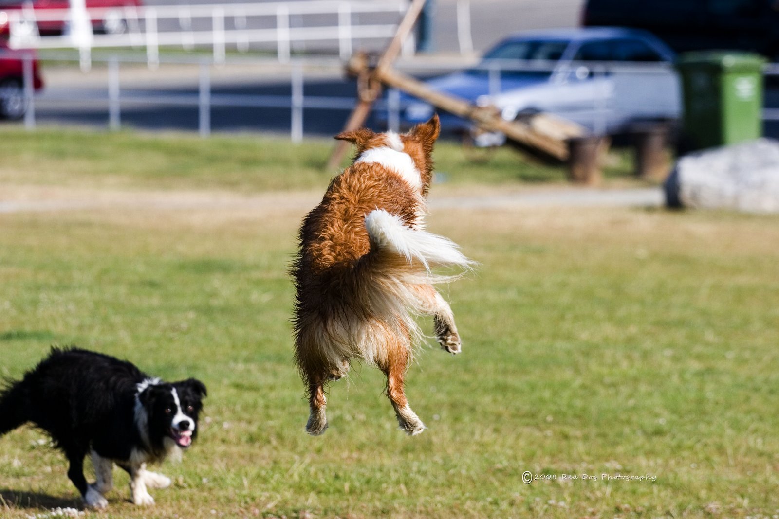 [woo+foreground+2.jpg]