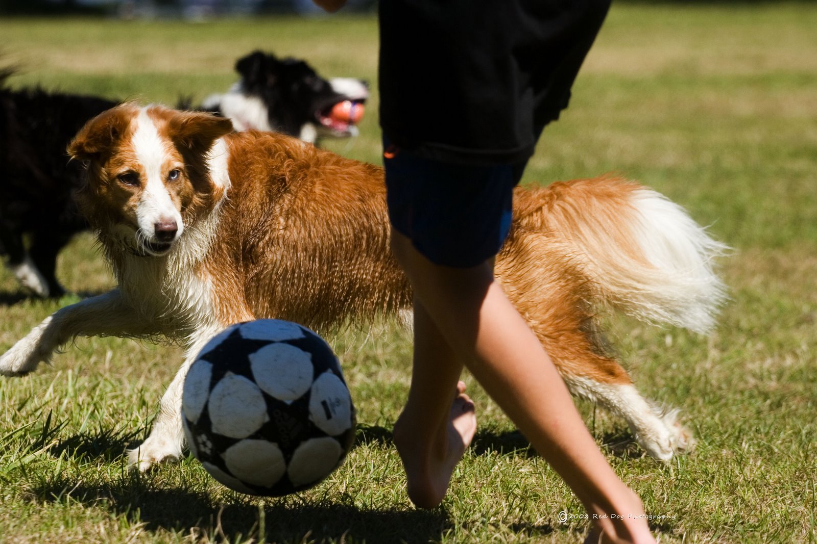 [woo+soccer.jpg]