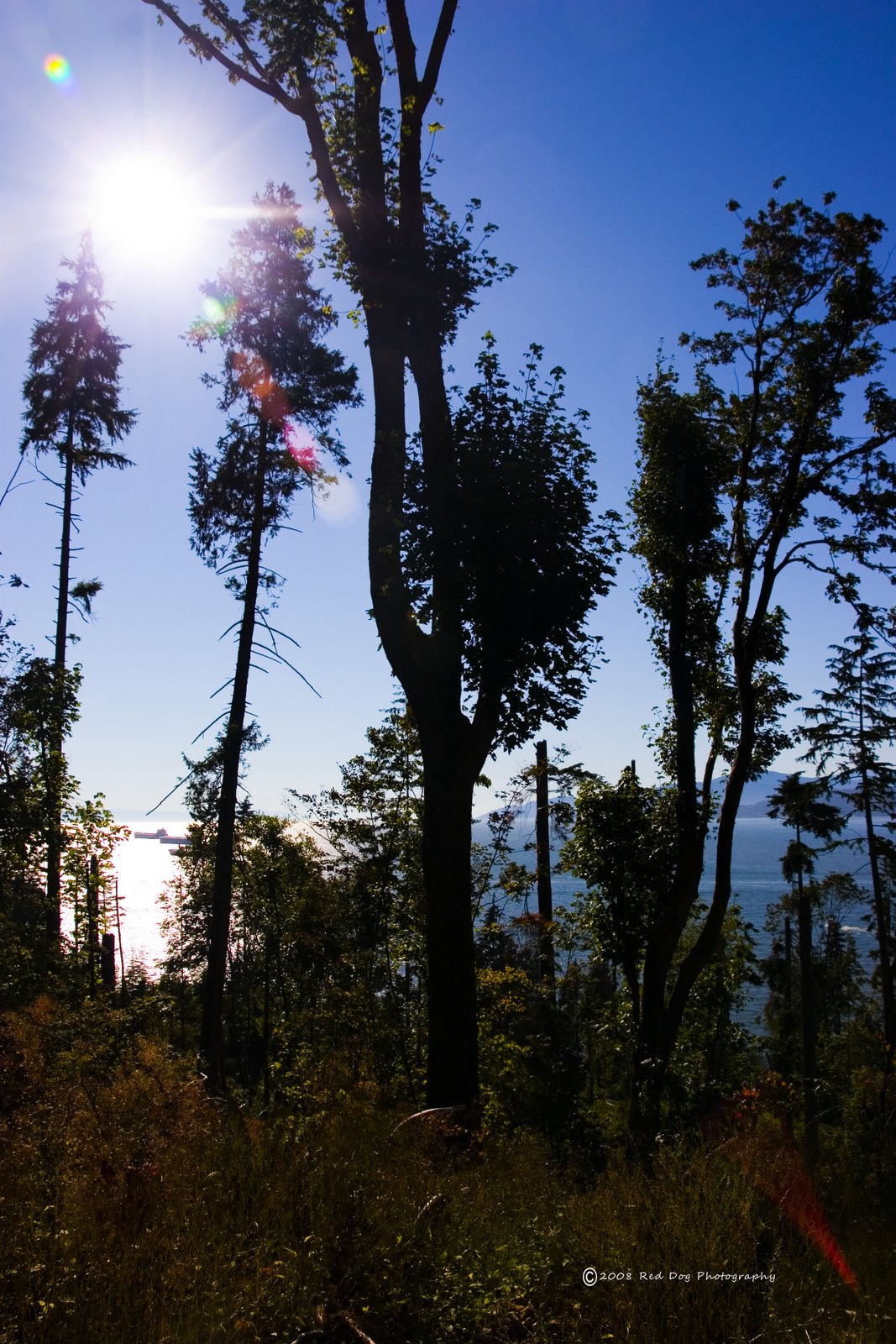 [view+from+park.jpg]