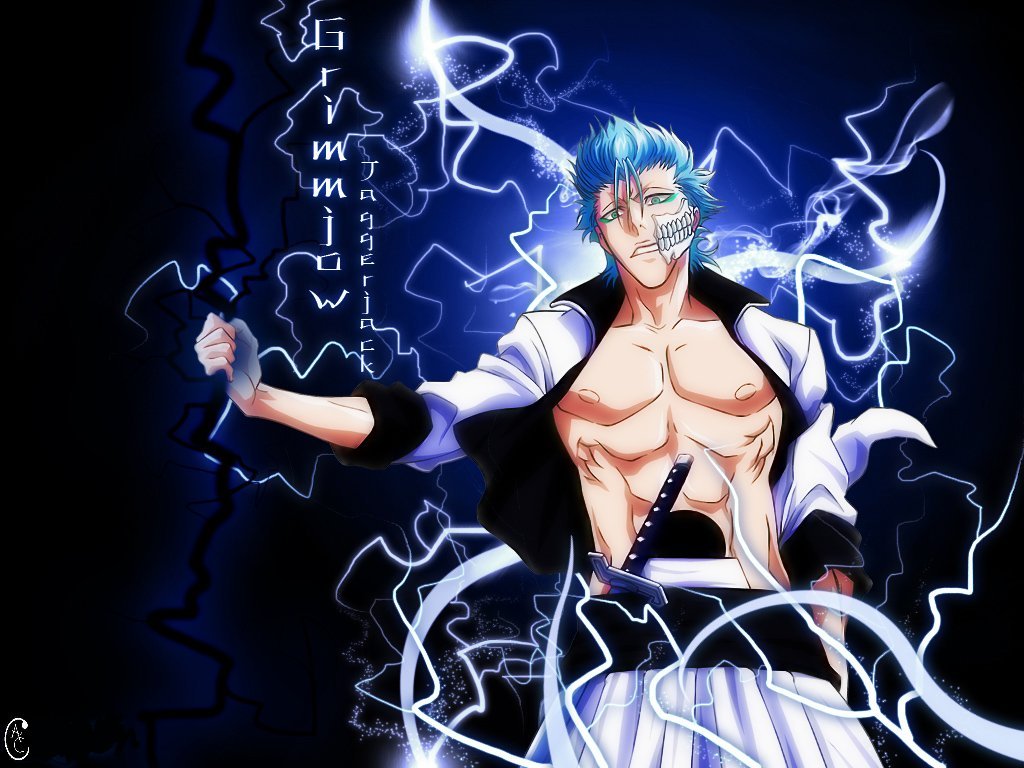 http://3.bp.blogspot.com/_Z2wiiXpIGjg/TPT5rFviUKI/AAAAAAAAAC4/vPPnJMdxNF0/s1600/Bleach_-_Grimmjow_Wallpaper_1024x76.jpg