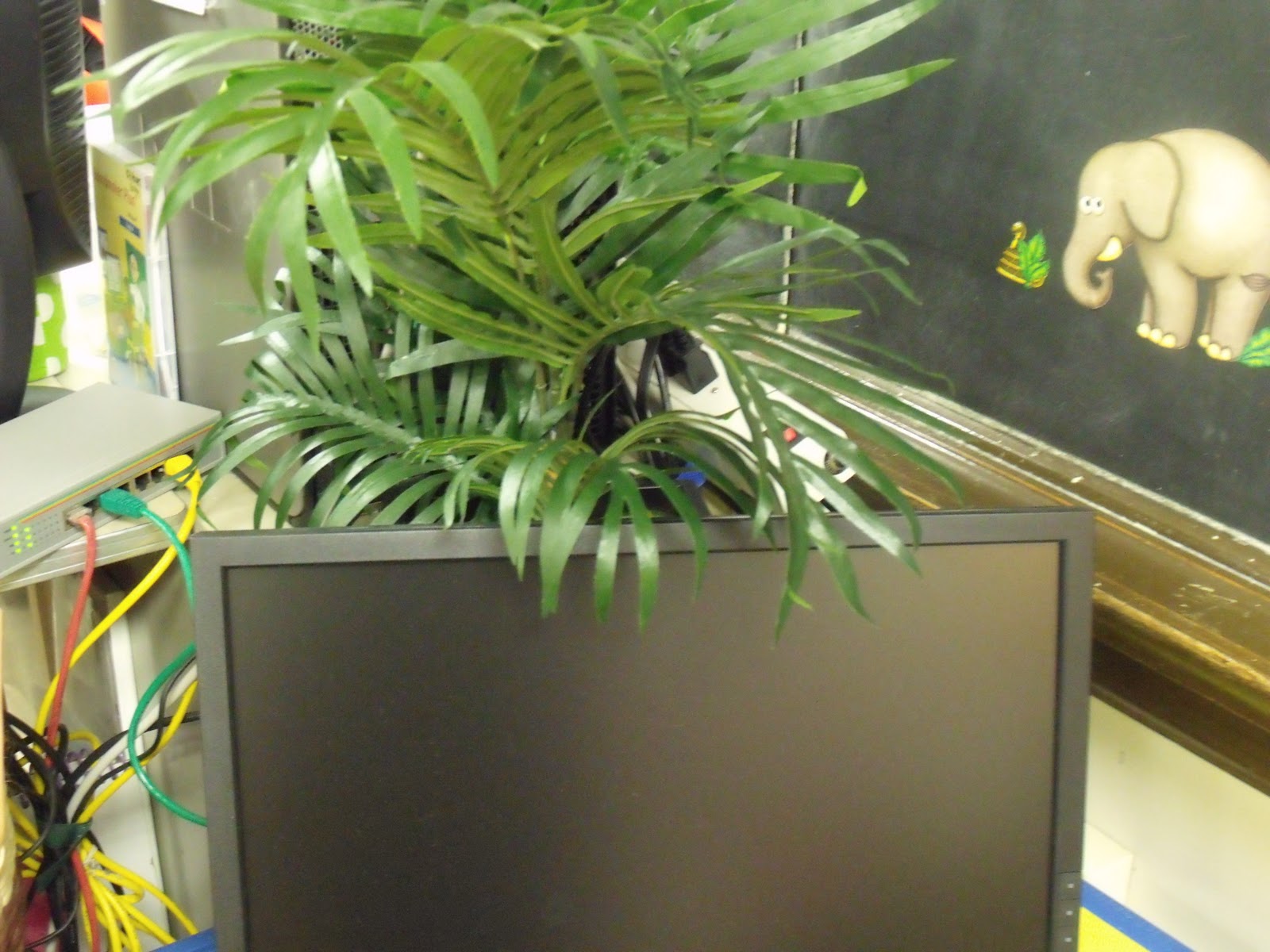 "How Long is This Hall!?" Plants in the Classroom