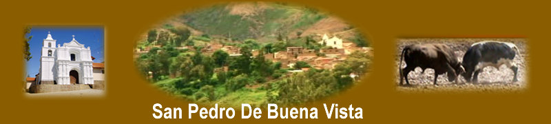 San Pedro de Buena Vista  Potosi- Bolivia