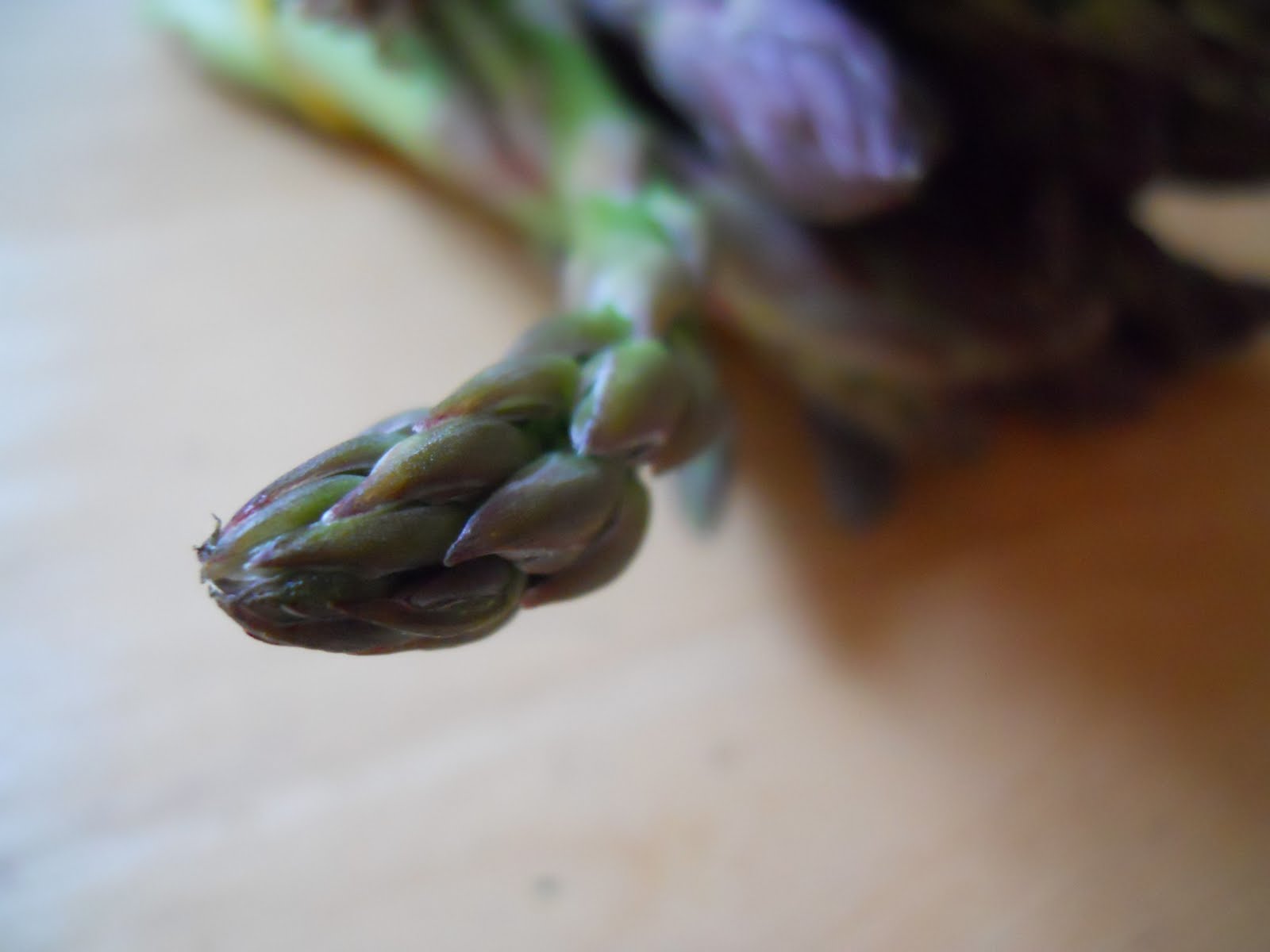 Cookbook 21 Jacques Pepin's Simple and Healthy Cooking