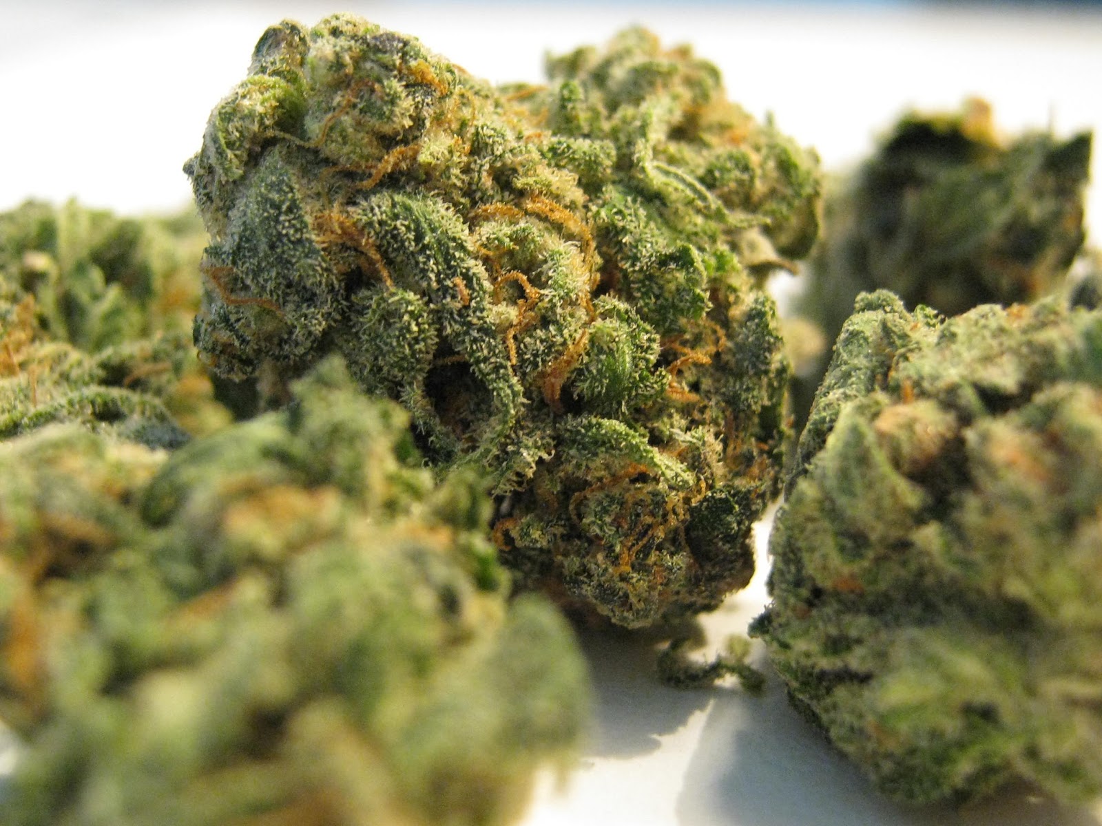 Diesel Cannabis