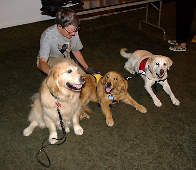 The 3 beautiful dogs above are associated with the Guide Dogs of America The 3 beautiful dogs above are associated with the Guide Dogs of America