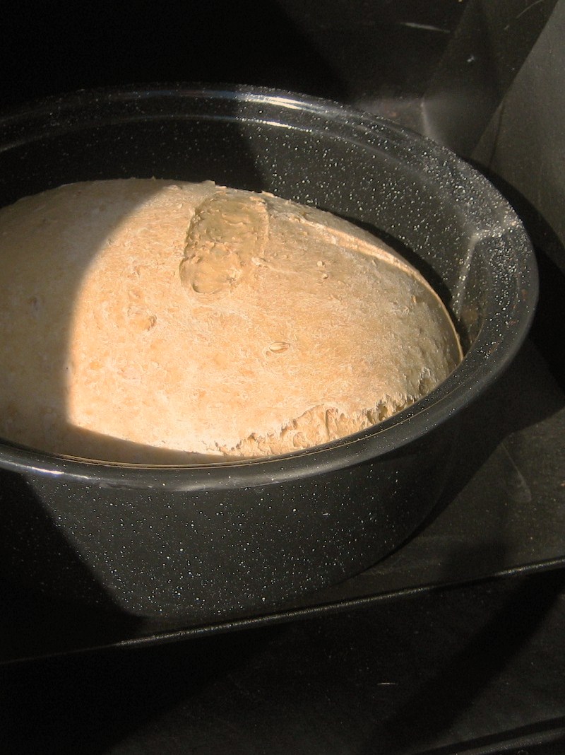 [solarbaking+001.JPG]
