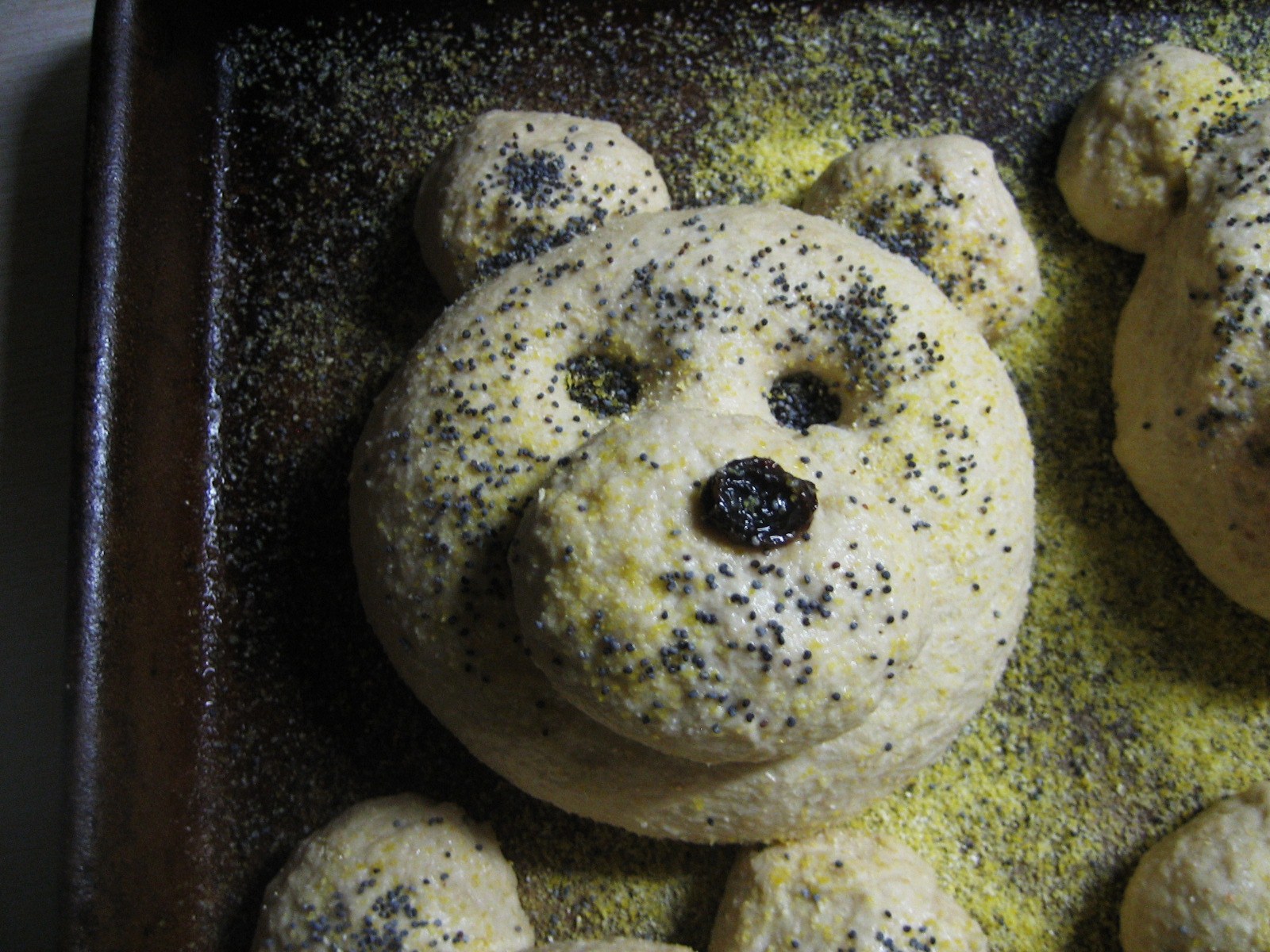 [bearbuns+059.JPG]