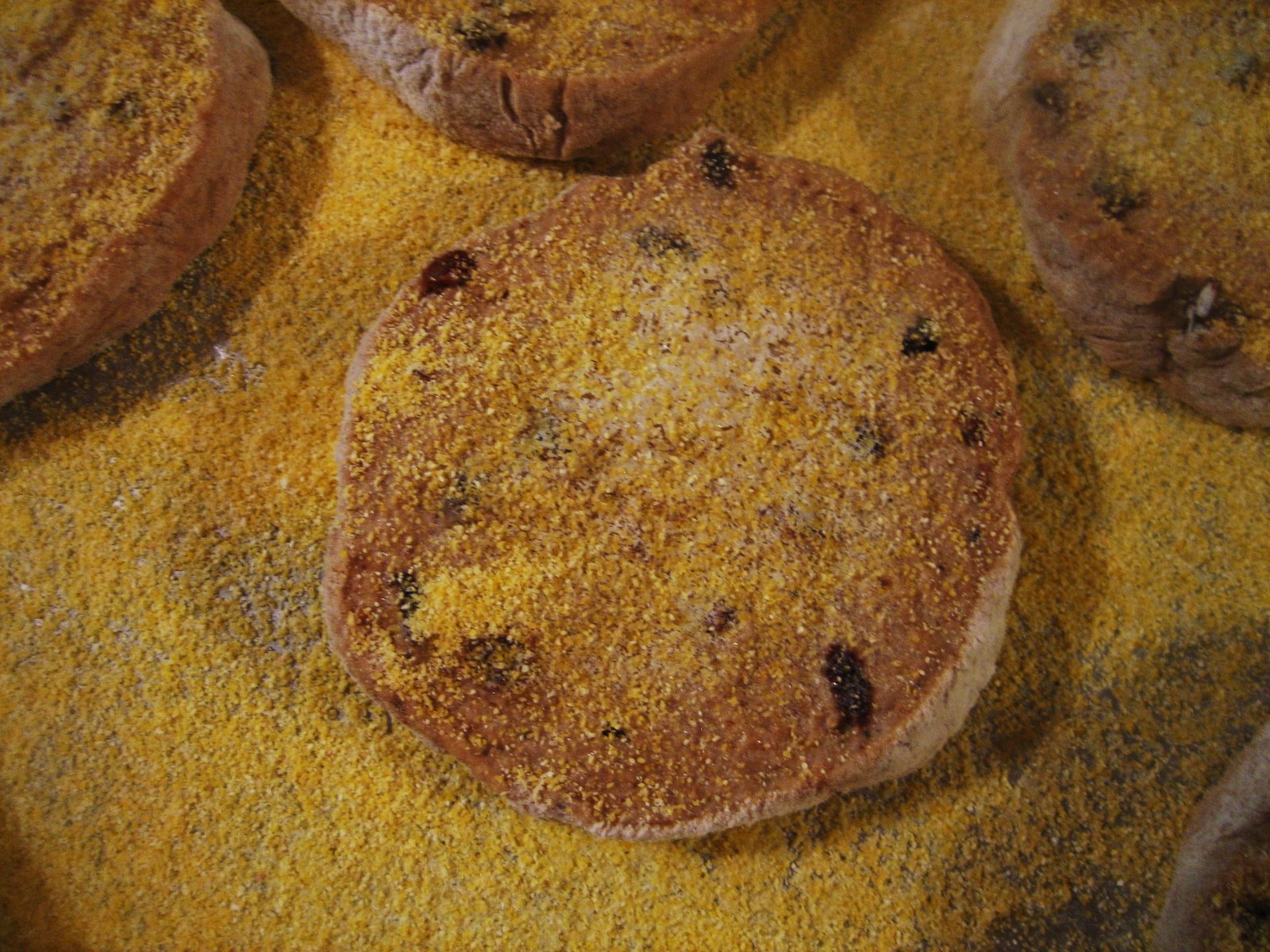 [Englishmuffins+028.JPG]
