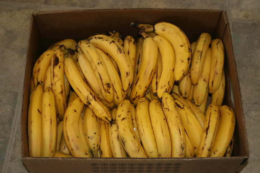 BananasCrate.jpg