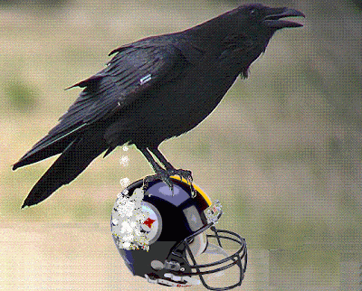 Ravens vs. Steelers. Steelers in the Superbowl; quoteth the raven, 